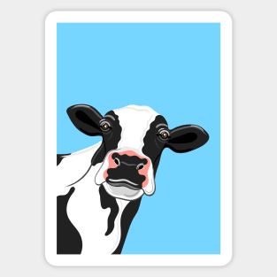 Black & White Cow Portrait on blue Sticker